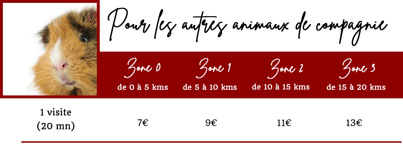 Visite a domicile - Autres animaux- MAJ 1:07:22 Vise à domicile NAC